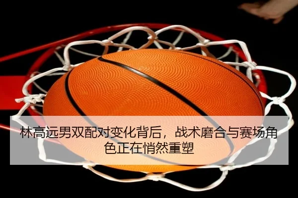 林高远男双配对变化背后，战术磨合与赛场角色正在悄然重塑